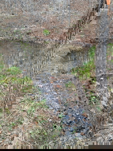 Cabin on 41.83 Acres for Sale | Hunting Land | Highway Frontage - image 47