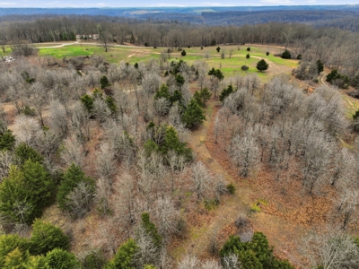 Cabin on 41.83 Acres for Sale | Hunting Land | Highway Frontage - image 14