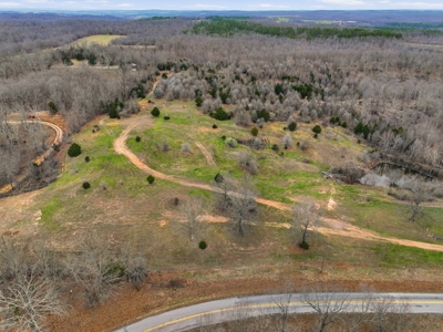 Cabin on 41.83 Acres for Sale | Hunting Land | Highway Frontage - image 4