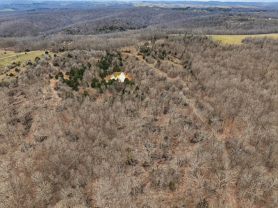 Cabin on 41.83 Acres for Sale | Hunting Land | Highway Frontage - image 10