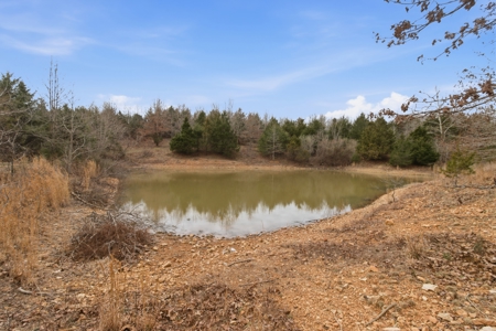 Cabin on 41.83 Acres for Sale | Hunting Land | Highway Frontage - image 43