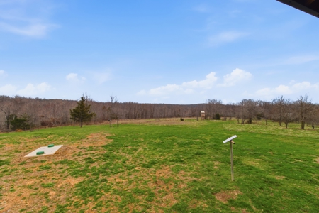 Cabin on 41.83 Acres for Sale | Hunting Land | Highway Frontage - image 41