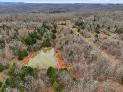 Cabin on 41.83 Acres for Sale | Hunting Land | Highway Frontage - image 13