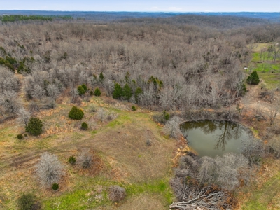 Cabin on 41.83 Acres for Sale | Hunting Land | Highway Frontage - image 17