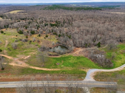 Cabin on 41.83 Acres for Sale | Hunting Land | Highway Frontage - image 5