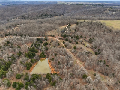 Cabin on 41.83 Acres for Sale | Hunting Land | Highway Frontage - image 12