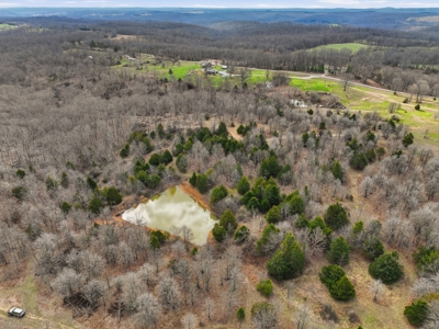 Cabin on 41.83 Acres for Sale | Hunting Land | Highway Frontage - image 45