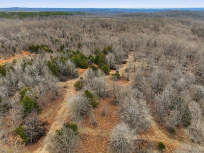 Missouri Ozarks Cabin for Sale / 6 Acres / Highway Frontage - image 6