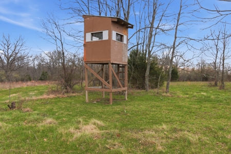 Missouri Ozarks Cabin for Sale | 28.8 Acres | Highway Frontage - image 29