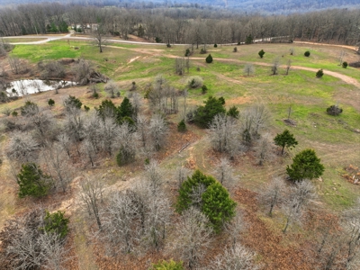 Missouri Ozarks Cabin for Sale | 28.8 Acres | Highway Frontage - image 7