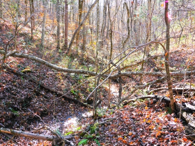 Hunting, Building Sites, Utilities, Woods, Quiet, Dead-End Road - image 28