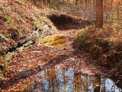 Hunting, Building Sites, Utilities, Woods, Quiet, Dead-End Road - image 25