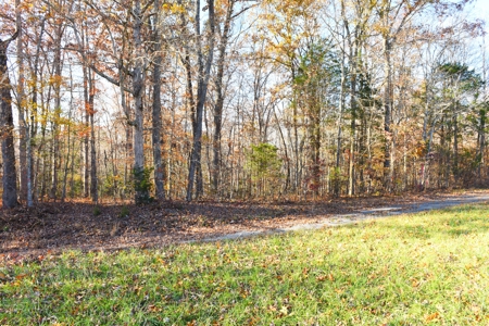 Hunting, Building Sites, Utilities, Woods, Quiet, Dead-End Road - image 14
