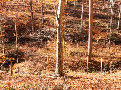 Hunting, Building Sites, Utilities, Woods, Quiet, Dead-End Road - image 18