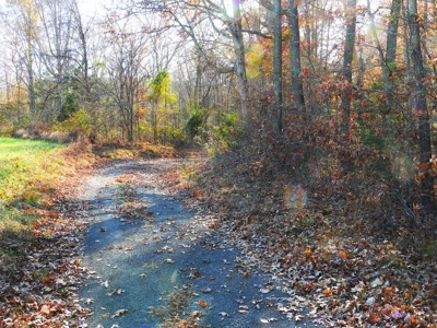 Hunting, Building Sites, Utilities, Woods, Quiet, Dead-End Road - image 31