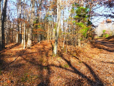 Hunting, Building Sites, Utilities, Woods, Quiet, Dead-End Road - image 3