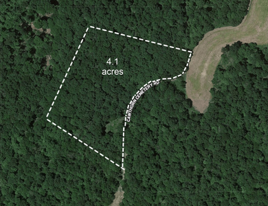 Hunting, Building Sites, Utilities, Woods, Quiet, Dead-End Road - image 8