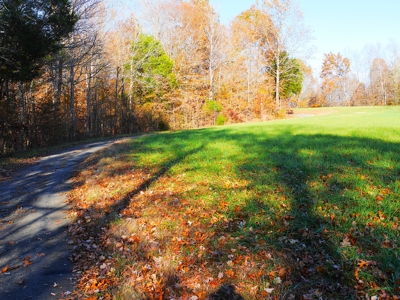 Hunting, Building Sites, Utilities, Woods, Quiet, Dead-End Road - image 30