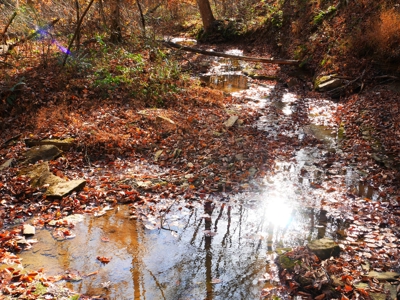 Hunting, Building Sites, Utilities, Woods, Quiet, Dead-End Road - image 1