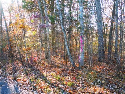 Hunting, Building Sites, Utilities, Woods, Quiet, Dead-End Road - image 29