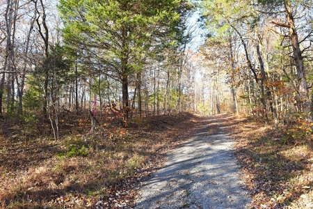 Hunting, Building Sites, Utilities, Woods, Quiet, Dead-End Road - image 9