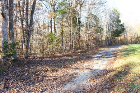 Hunting, Building Sites, Utilities, Woods, Quiet, Dead-End Road - image 13