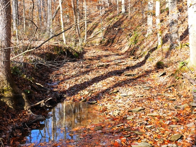 Hunting, Building Sites, Utilities, Woods, Quiet, Dead-End Road - image 24