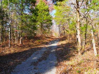 Hunting, Building Sites, Utilities, Woods, Quiet, Dead-End Road - image 17