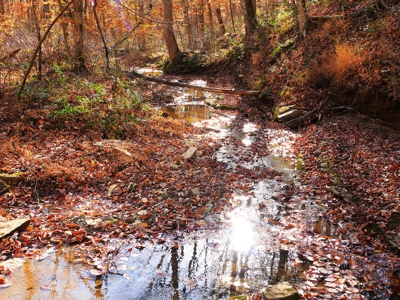 Hunting, Building Sites, Utilities, Woods, Quiet, Dead-End Road - image 23