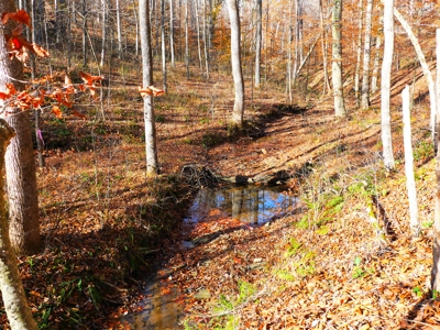 Hunting, Building Sites, Utilities, Woods, Quiet, Dead-End Road - image 22