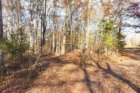 Hunting, Building Sites, Utilities, Woods, Quiet, Dead-End Road - image 11