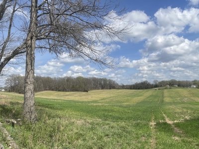 53.95 Acres of Prime Warren County Land at Auction in 4 Tracts - image 21