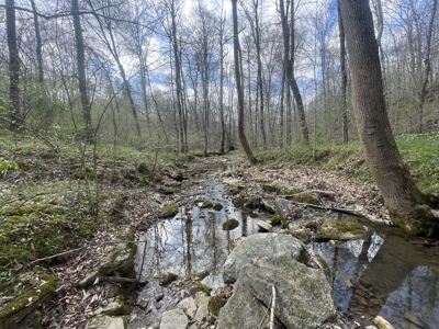 53.95 Acres of Prime Warren County Land at Auction in 4 Tracts - image 15