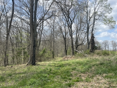 53.95 Acres of Prime Warren County Land at Auction in 4 Tracts - image 17