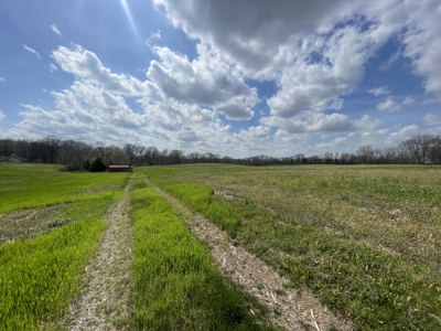53.95 Acres of Prime Warren County Land at Auction in 4 Tracts - image 4