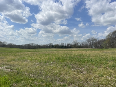 53.95 Acres of Prime Warren County Land at Auction in 4 Tracts - image 3