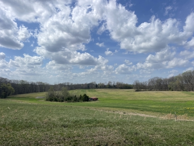 53.95 Acres of Prime Warren County Land at Auction in 4 Tracts - image 2