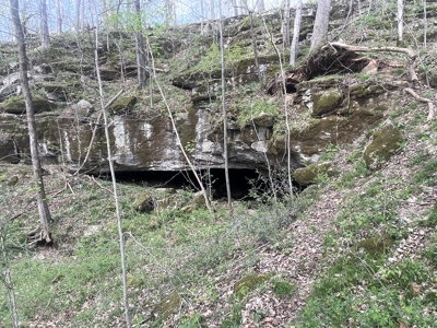 53.95 Acres of Prime Warren County Land at Auction in 4 Tracts - image 13