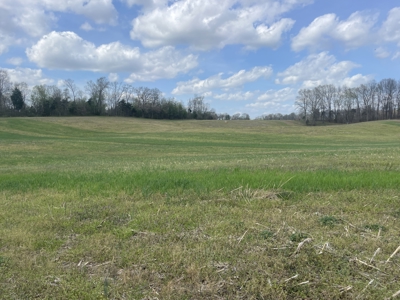 53.95 Acres of Prime Warren County Land at Auction in 4 Tracts - image 19