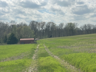 53.95 Acres of Prime Warren County Land at Auction in 4 Tracts - image 5