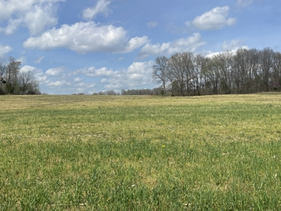 53.95 Acres of Prime Warren County Land at Auction in 4 Tracts - image 23
