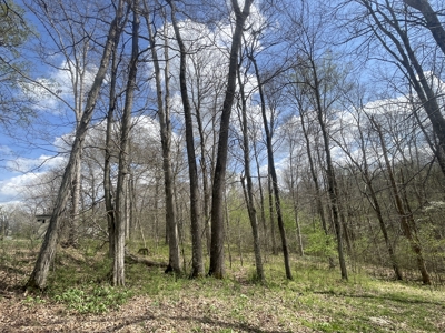 53.95 Acres of Prime Warren County Land at Auction in 4 Tracts - image 11
