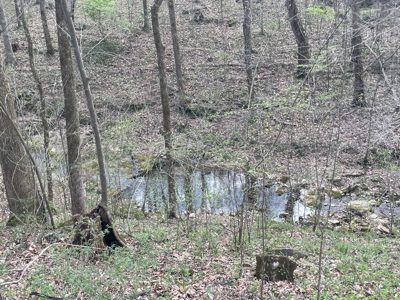 53.95 Acres of Prime Warren County Land at Auction in 4 Tracts - image 16