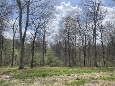 53.95 Acres of Prime Warren County Land at Auction in 4 Tracts - image 8