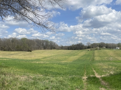 53.95 Acres of Prime Warren County Land at Auction in 4 Tracts - image 22