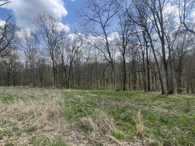53.95 Acres of Prime Warren County Land at Auction in 4 Tracts - image 10