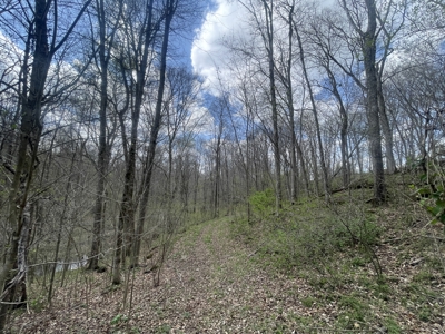 53.95 Acres of Prime Warren County Land at Auction in 4 Tracts - image 12