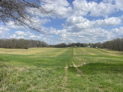 53.95 Acres of Prime Warren County Land at Auction in 4 Tracts - image 20