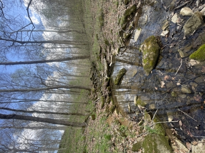 53.95 Acres of Prime Warren County Land at Auction in 4 Tracts - image 14