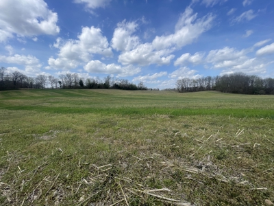53.95 Acres of Prime Warren County Land at Auction in 4 Tracts - image 18